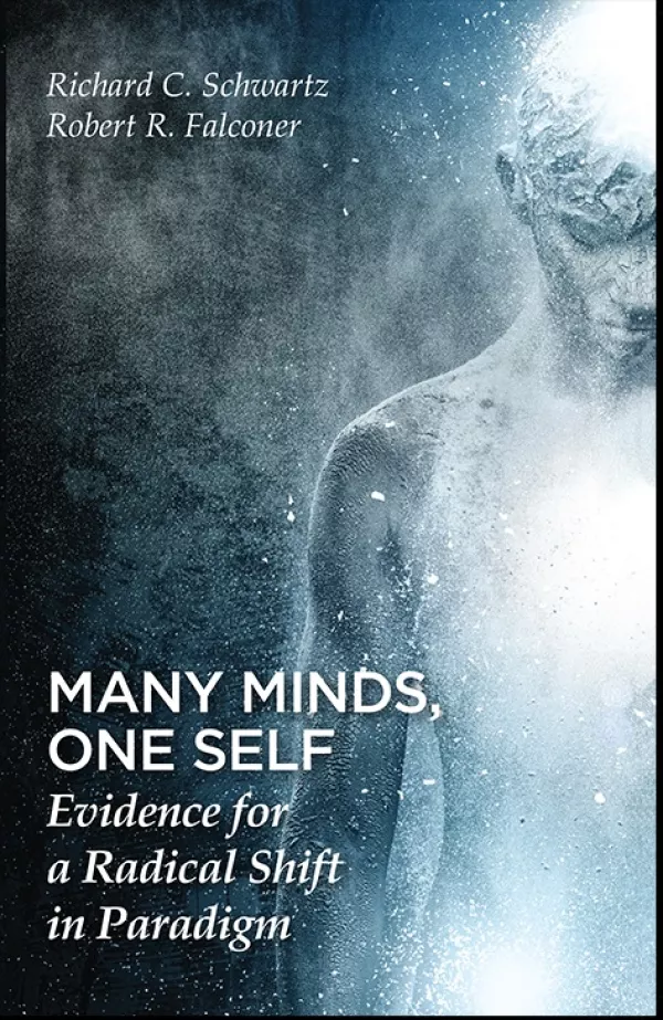 Many Minds, One Self | IFS Institute